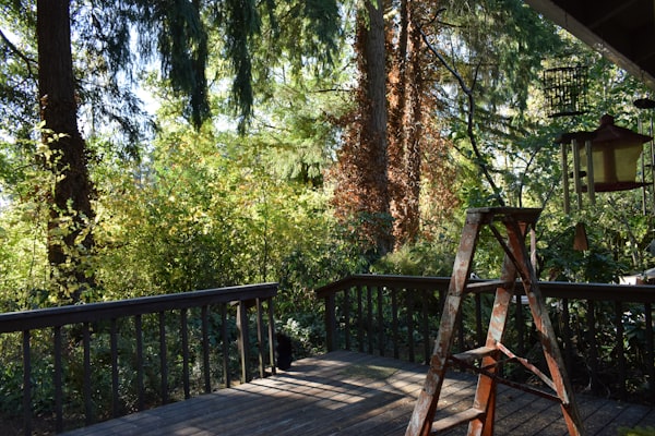 Wooden backyard deck surrounded by green trees